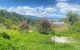 thum-8555889_RJ8cm6jSkM_1650689674.jpeg