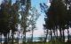 thum-8556254_5gbvScPMjz_1650702820.jpg