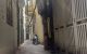 thum-8556421_SbRaWOnltE_1650713210.jpg