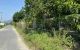 thum-m_gUDiep8732_1650785701.jpg
