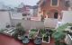 thum-8560401_KwTcoPWhGA_1650871340.jpg