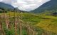 thum-8560624_MG4NywIARW_1650874274.jpg