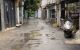 thum-8560885_8n1MQETk56_1650878282.jpg