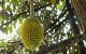 thum-8561057_hMAWRErqXH_1650890928.jpg