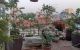 thum-8561085_RF7HtNJEeD_1650894813.jpg