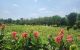 thum-m_6etg7R9sjo_1650856775.jpg