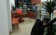 thum-8562476_kOn6YMAufH_1650944609.jpg