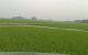thum-8562774_v1mhQPeaKI_1650949658.jpg