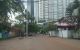 thum-8563166_lufFpH8iAI_1650960104.jpg