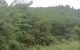 thum-m_S2NlKOXEYy_1650949650.jpg