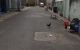 thum-m_k7MT4Aq602_1651114631.jpg