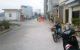 thum-8570946_ZmRItVcKC4_1651203331.jpg