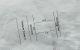 thum-8572044_luVIt2BZjU_1651249809.jpg