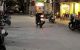 thum-m_conujf2SgB_1651216276.jpg