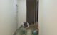 thum-8573257_2X0GbqjlNt_1651292961.jpg