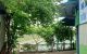 thum-m_OQbYHVvgj5_1651283755.jpg