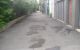 thum-m_lDfvgVt9ca_1651292955.jpg