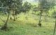 thum-8577359_yIjnxuVGSb_1651462661.jpg