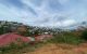 thum-m_GMeZqNxY4o_1651460512.jpg