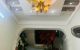 thum-8582985_U0wKcQCtl2_1651681859.jpg