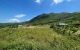 thum-8585100_rx8e5tvMyk_1651738150.jpg