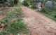 thum-8585173_wj19hqVyme_1651739323.jpg