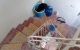 thum-8585196_kgxJn7qsbd_1651739781.jpg