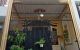 thum-m_1PShWHC4Q6_1651720620.jpg