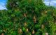 thum-m_LD8yTogbVt_1651720100.jpg