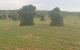 thum-m_SCsgrtyql4_1651742494.jpg