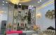 thum-m_jNIbKk8d7Z_1651720239.jpg