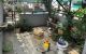 thum-8586833_VMutCaUNvP_1651808596.jpg