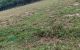 thum-8590678_z4lIZsk5u6_1651919906.jpg