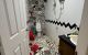thum-8591060_GhtNLz0xKP_1651940189.jpeg