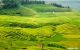 thum-m_udw4XSQEGi_1651913576.jpg