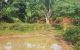 thum-8592750_TqI2gk0AEP_1651981976.jpg