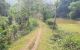 thum-8592750_q7KvlCA8Ia_1651981958.jpg