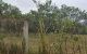 thum-8594756_BGV82Jl9ps_1652064301.jpg