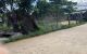 thum-8594915_9Vj5Fx3ydt_1652067049.jpg