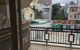 thum-8595523_iZ28baxsLh_1652081802.jpg