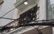 thum-m_An9lK3MpRx_1652078957.jpg