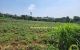 thum-m_df8LeGhF3z_1652060105.jpg