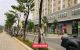 thum-m_sivM37CKVa_1652082646.jpg