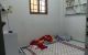thum-8598560_sMjnZqUKwF_1652187937.jpg