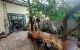 thum-m_Hq5O9hEf1o_1652171824.jpg
