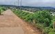 thum-m_XEUpS1abGZ_1652145267.jpg