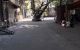 thum-8600849_a3CZIr56te_1652257924.jpg