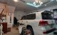 thum-8601009_DZ1TPxhuSL_1652260781.jpg