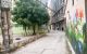 thum-m_fUW0uRxapD_1652236562.jpg