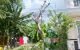 thum-m_gNqYC0JRWv_1652261215.jpg